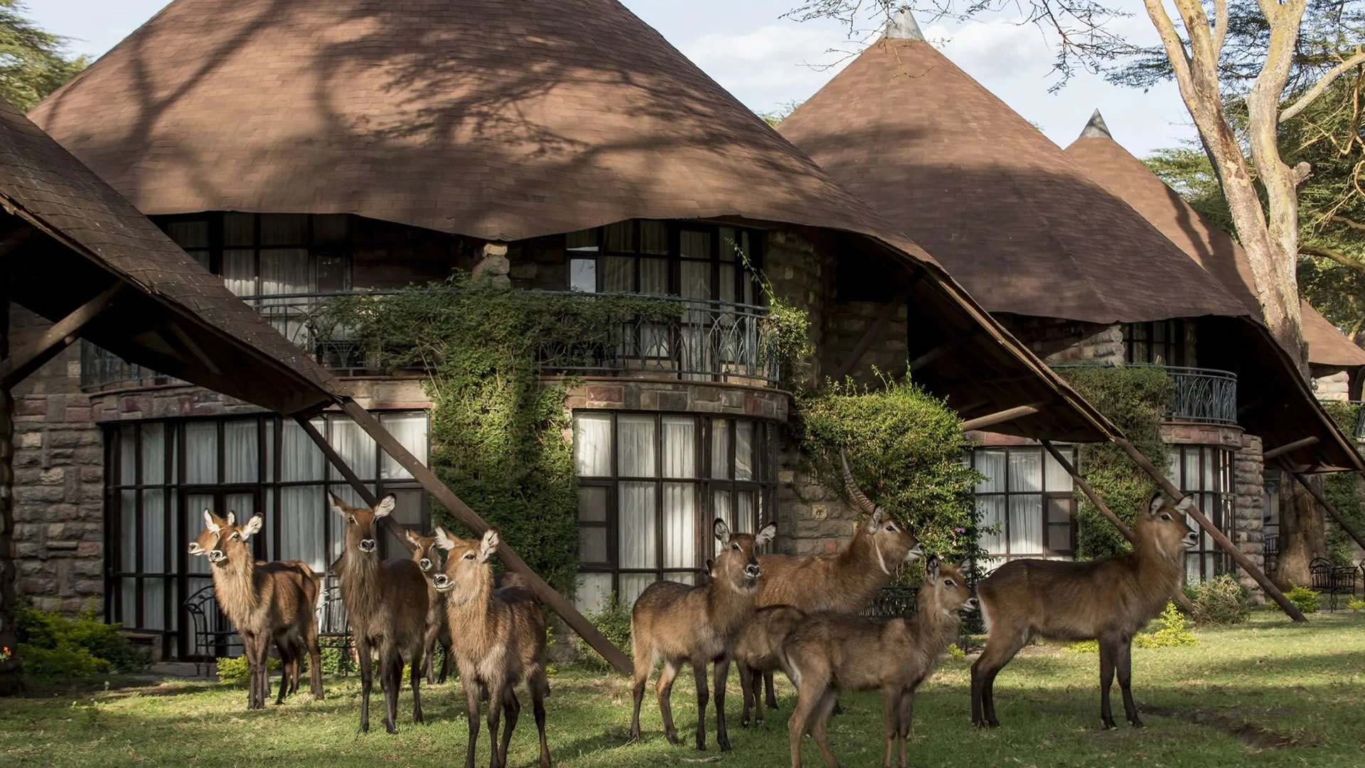 Lake Naivasha Sopa Lodge