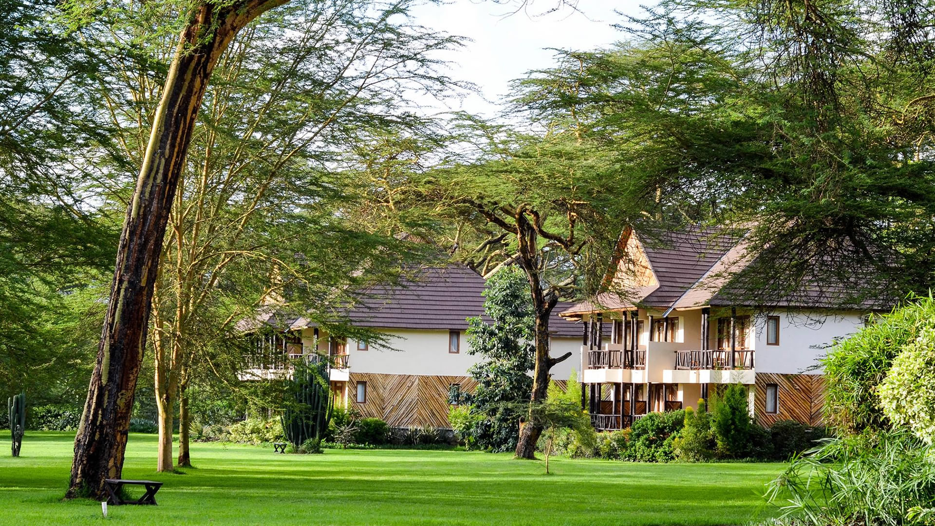 Sawela Lodge