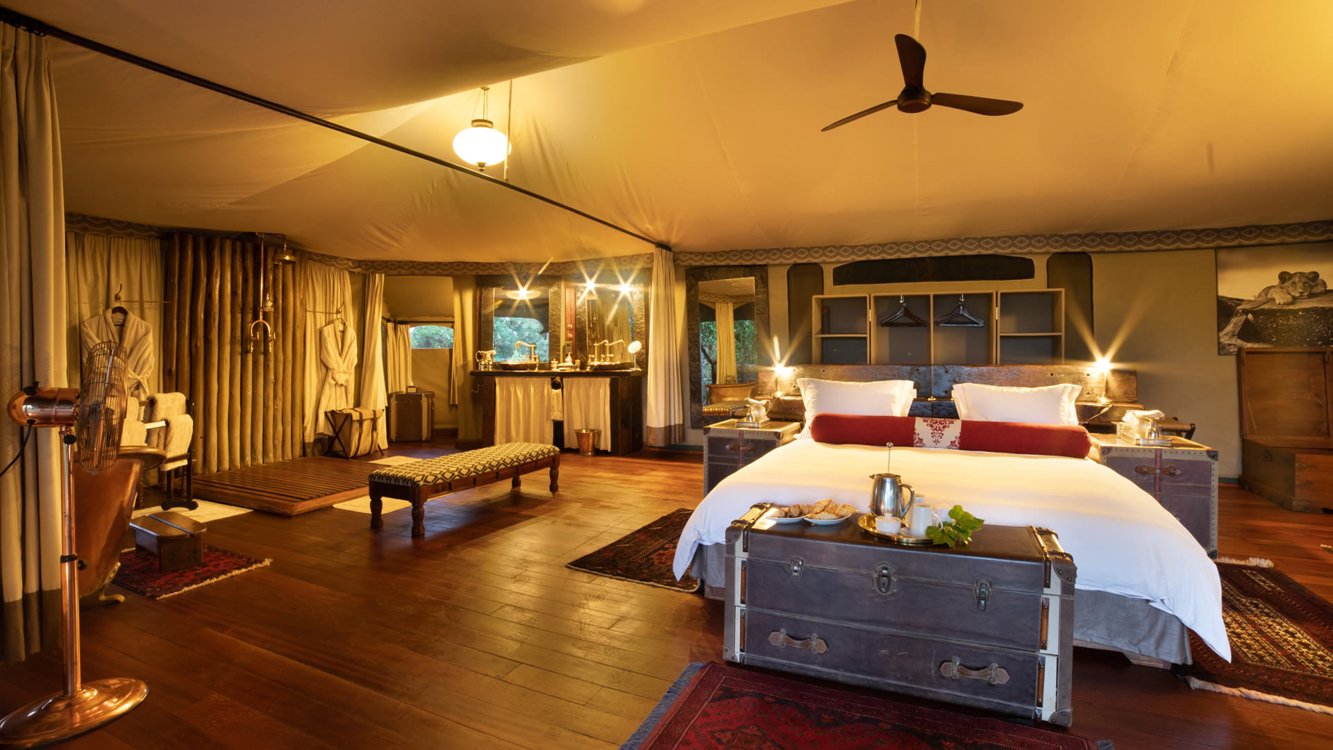 Zebra Plains Luxury Camp