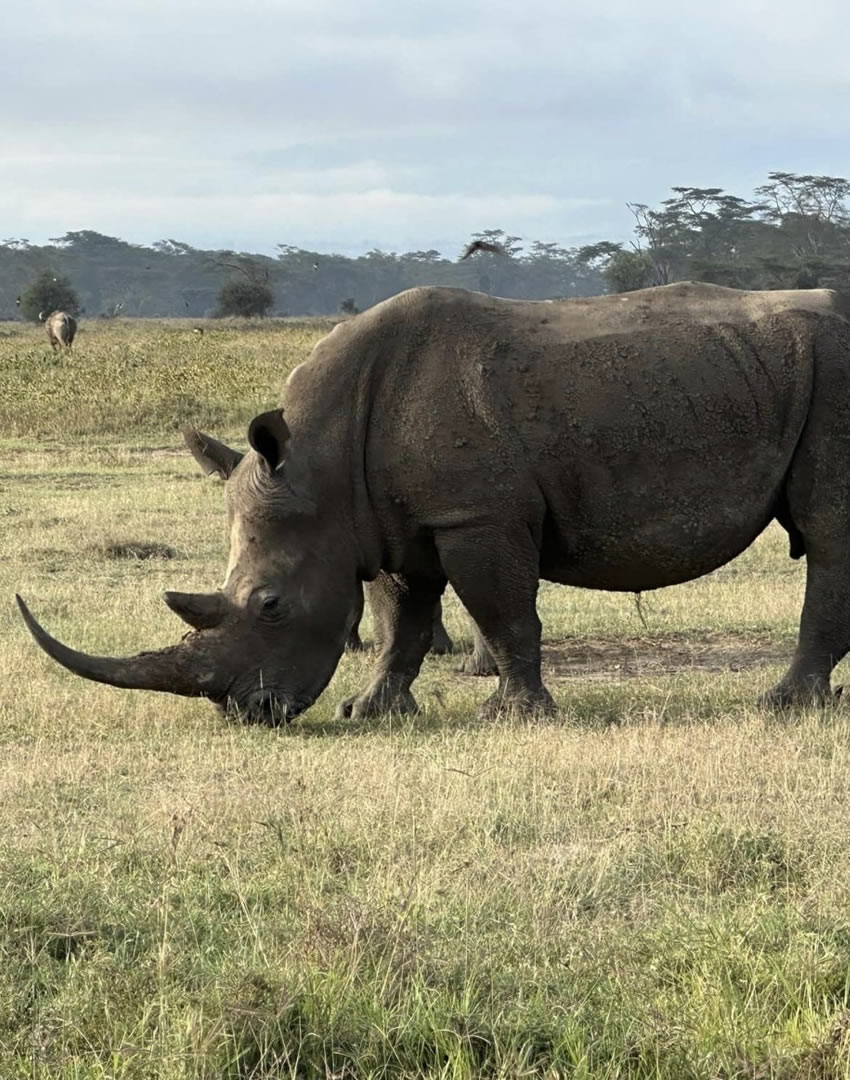 Daytrip to Lake Nakuru National Park