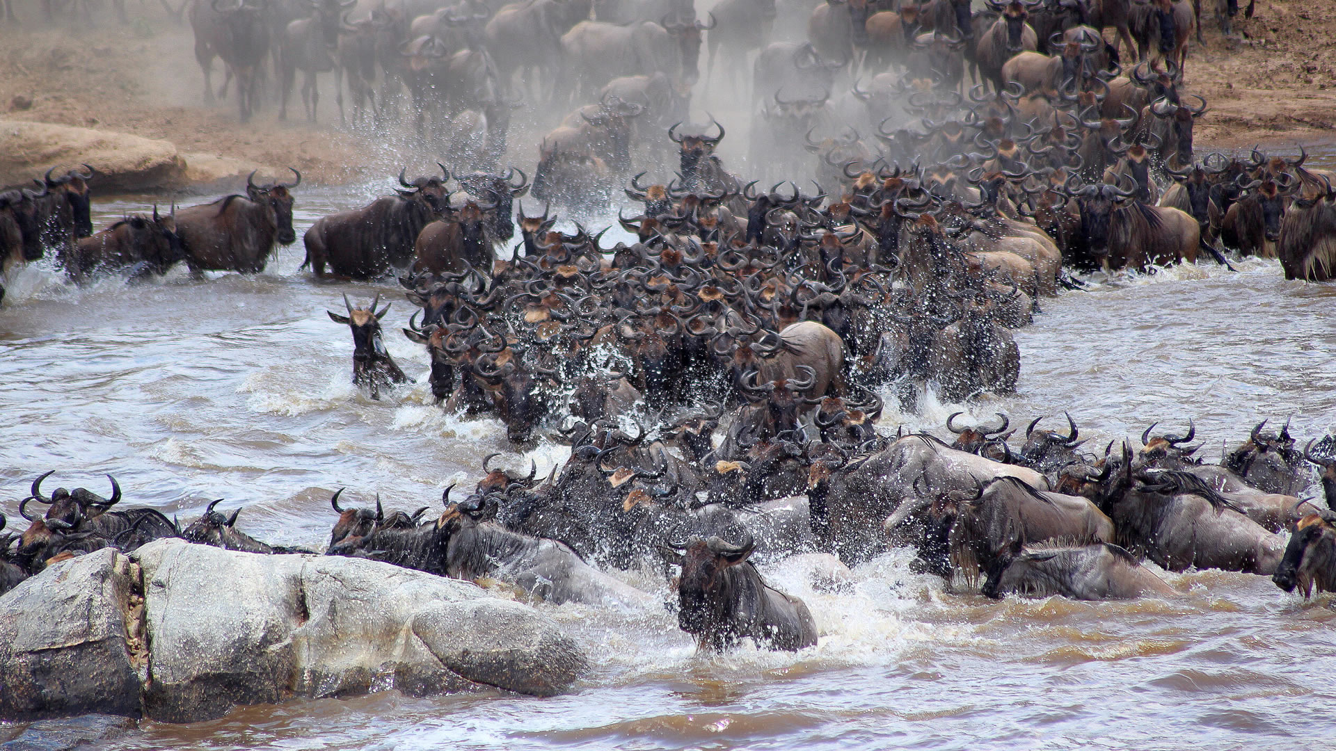  4 Days Migration Fly Package