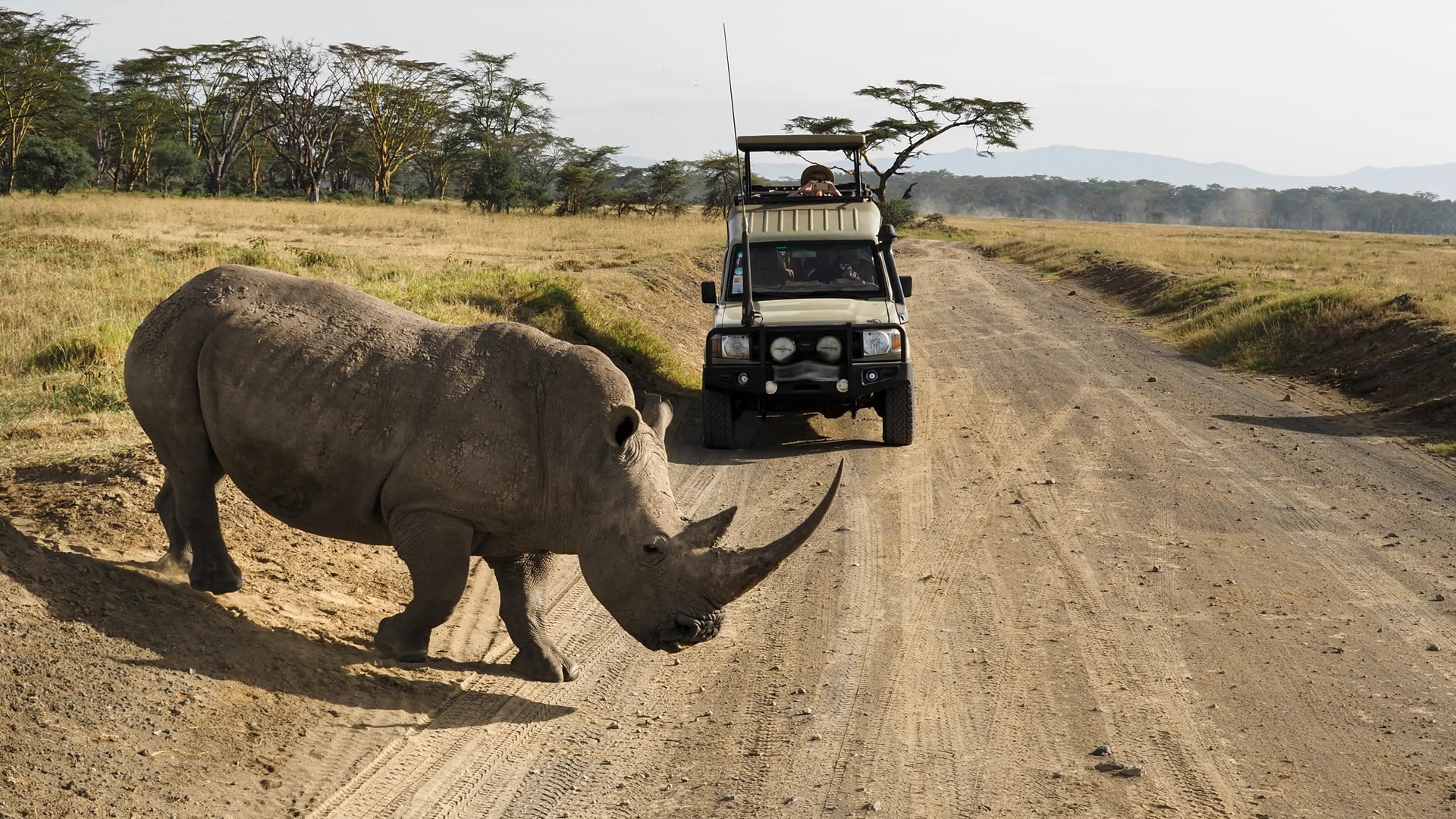 8 Days Highlights of Kenya Safari 