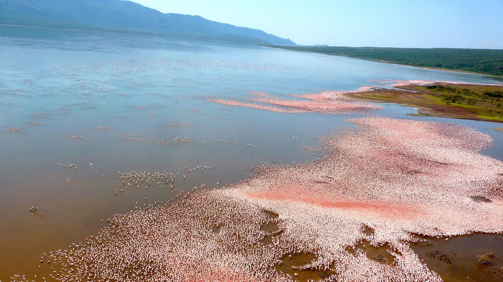 8 Days Kenya Scenic Experience  