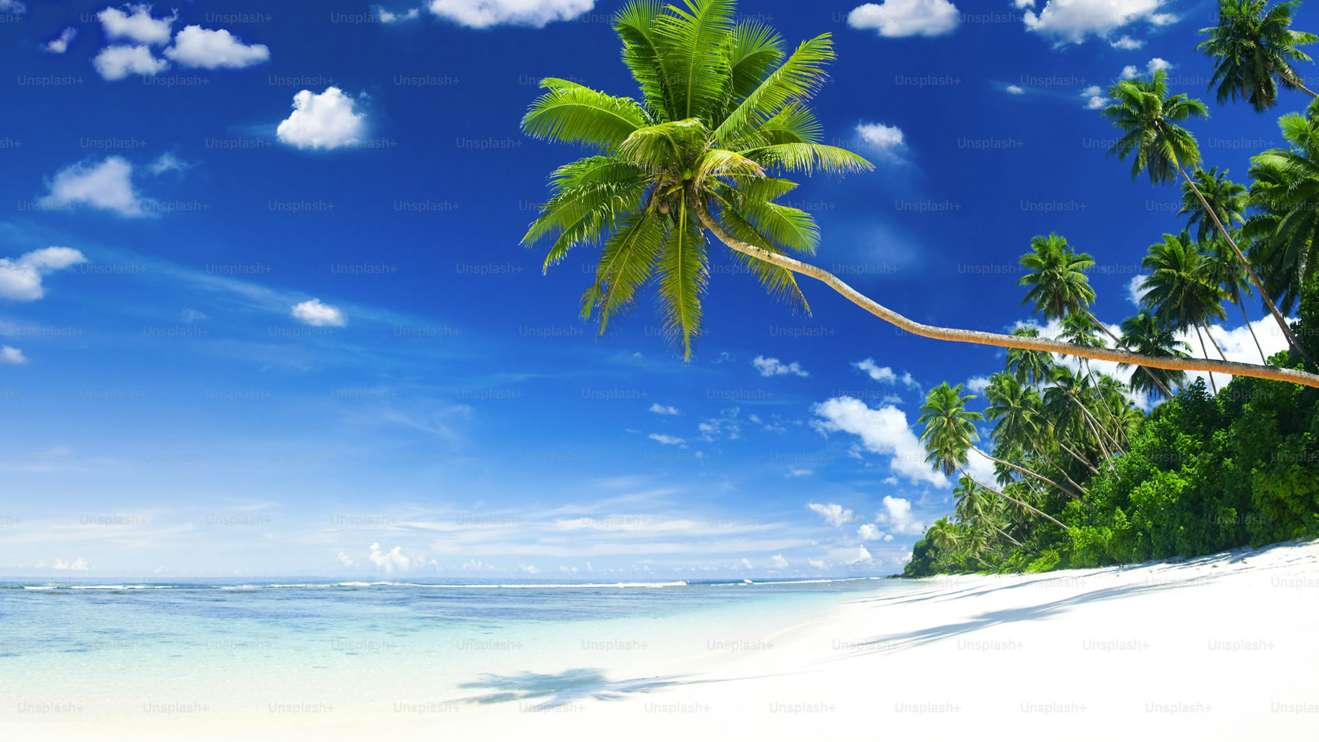  9 Days Adventure Bush & Beach