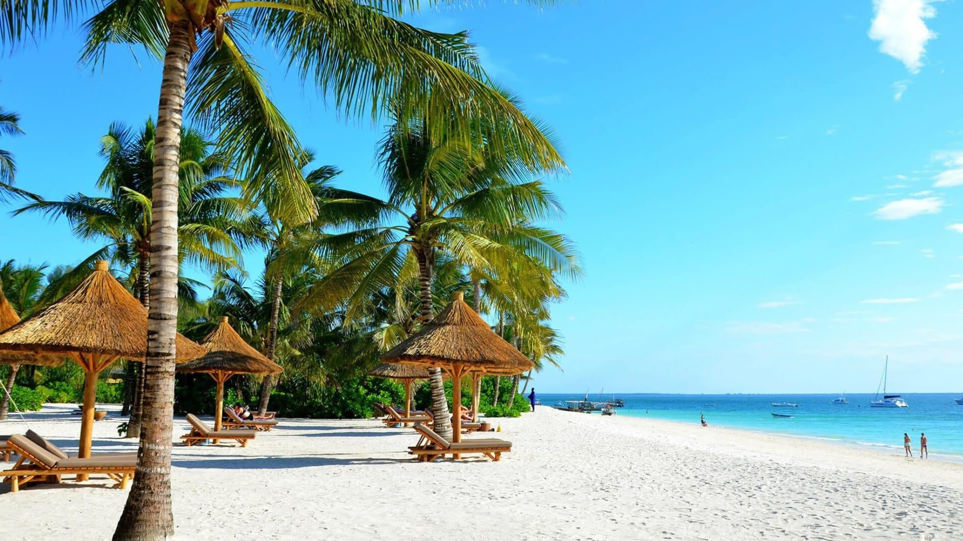 bush and beach holidays