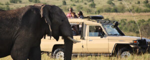 5 Days Masai Mara Luxury Safari - Keekorok Lodge