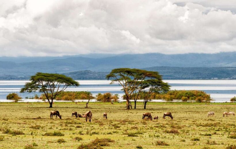 6 Days Epic Kenya Road Safari With Luxury Lake Front Stay