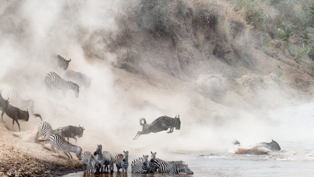 Great-migration-Masai-Mara-With-Royal-Private-Safaris
