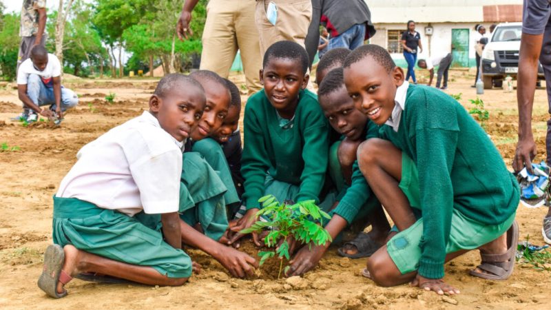 greening-schools